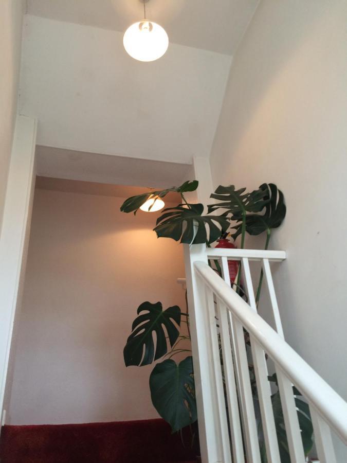 Fern Cottage Dorchester Eksteriør billede